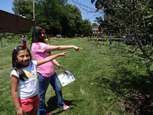 two girls pointing at the cherries on a tree