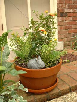 Potted Plant Potted Plant