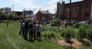 Community Gardens