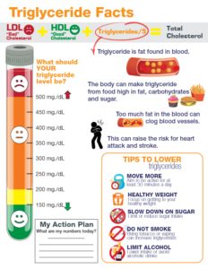 Triglyceride Facts