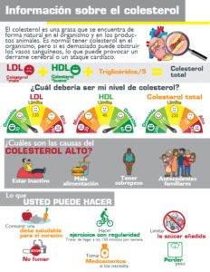 Información sobre el colesterol