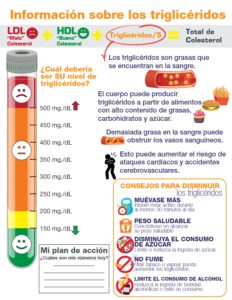Información sobre los triglicéridos