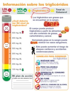 Información sobre los triglicéridos